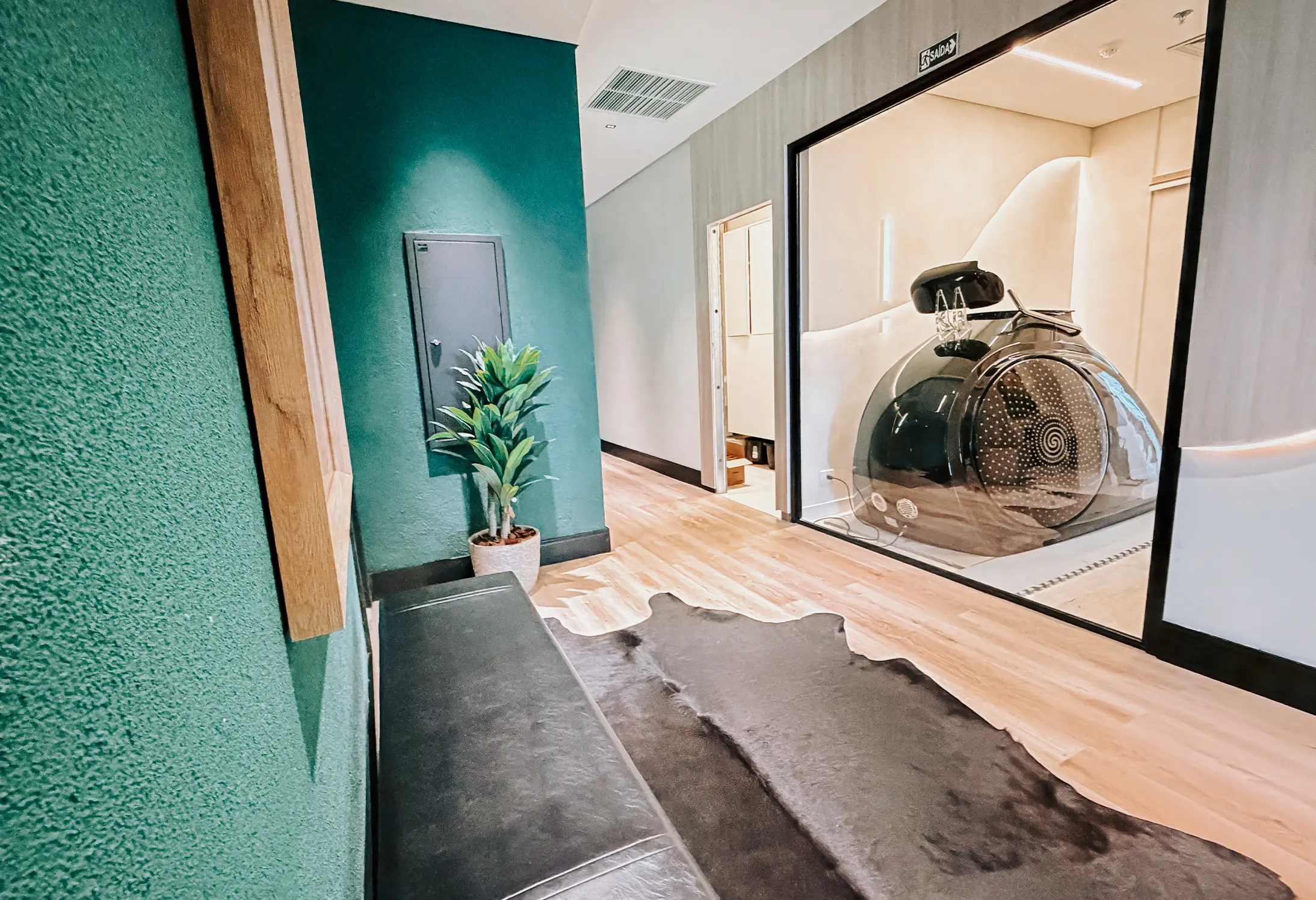 Corredor interno com parede verde, planta em vaso, banco preto e sala com equipamento preto transparente.